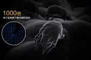 螨虫高发季，家用除湿机除螨有妙计！