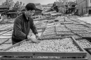 茯苓干燥易碎裂吸湿怎么办？茯苓烘干机助力企业规?；?
