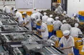 工业除湿机，食品加工行业的“保护伞”