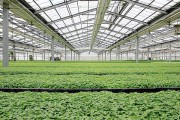 除湿器如何解决高湿度、多种危害的温室除湿问题？